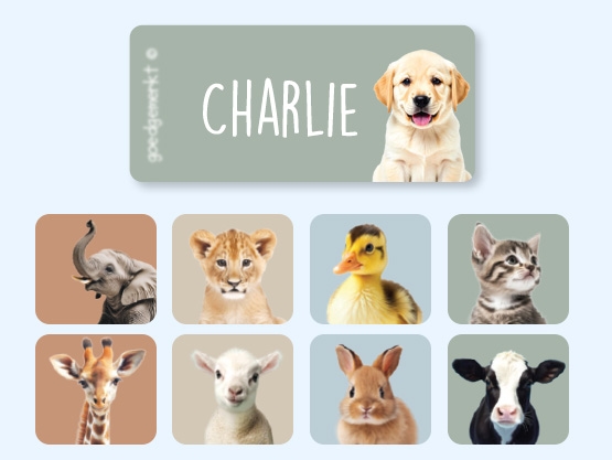 Real World Kledingstickers