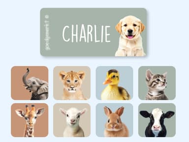 Real World Kledingstickers