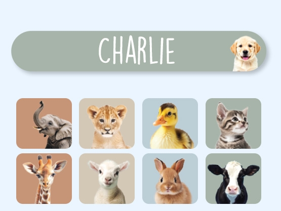 Mini Real World Naamstickers