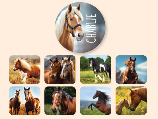 Ronde Real World Naamstickers