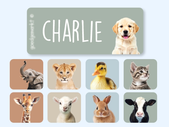 Kleine Real World Naamstickers